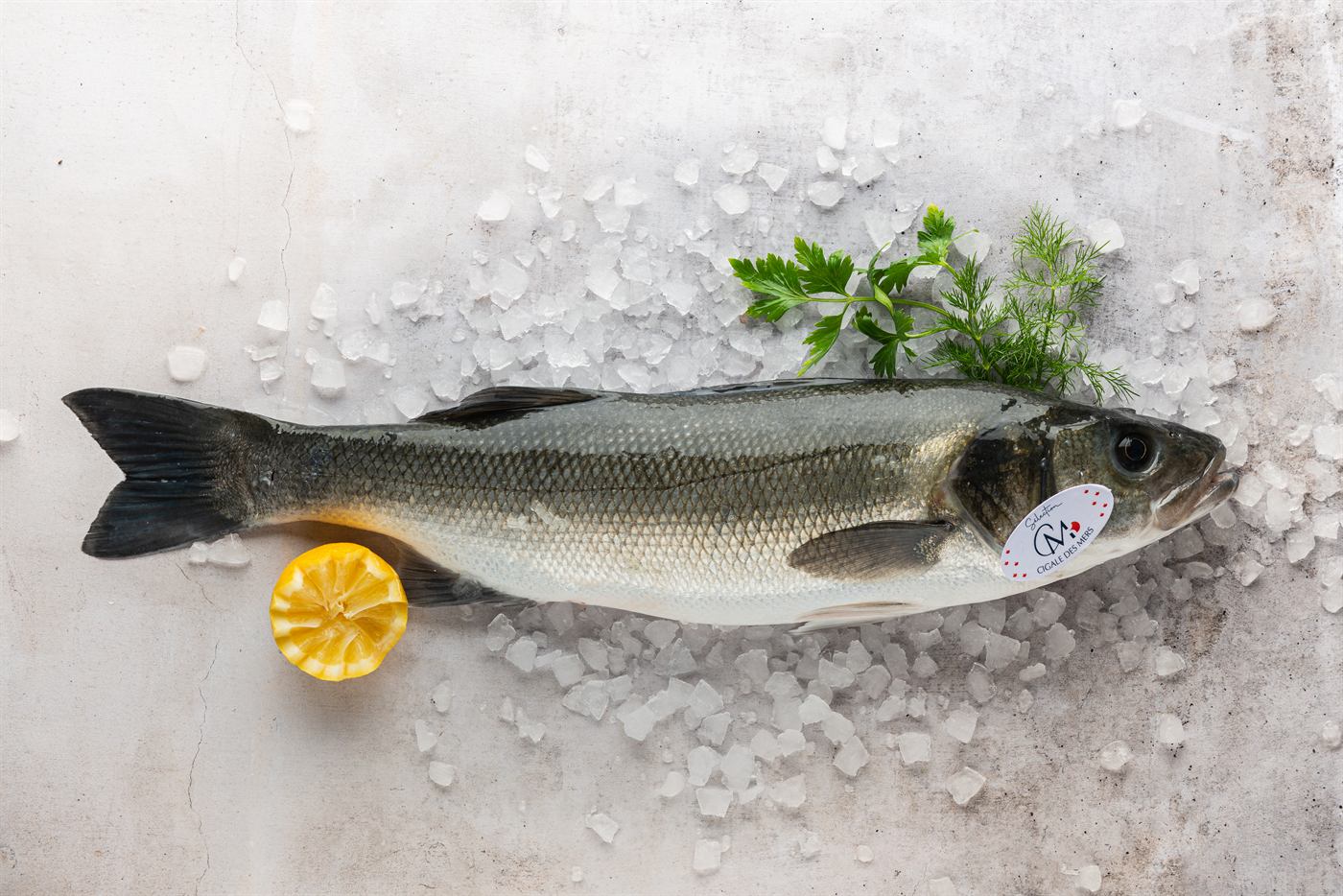 Le poisson