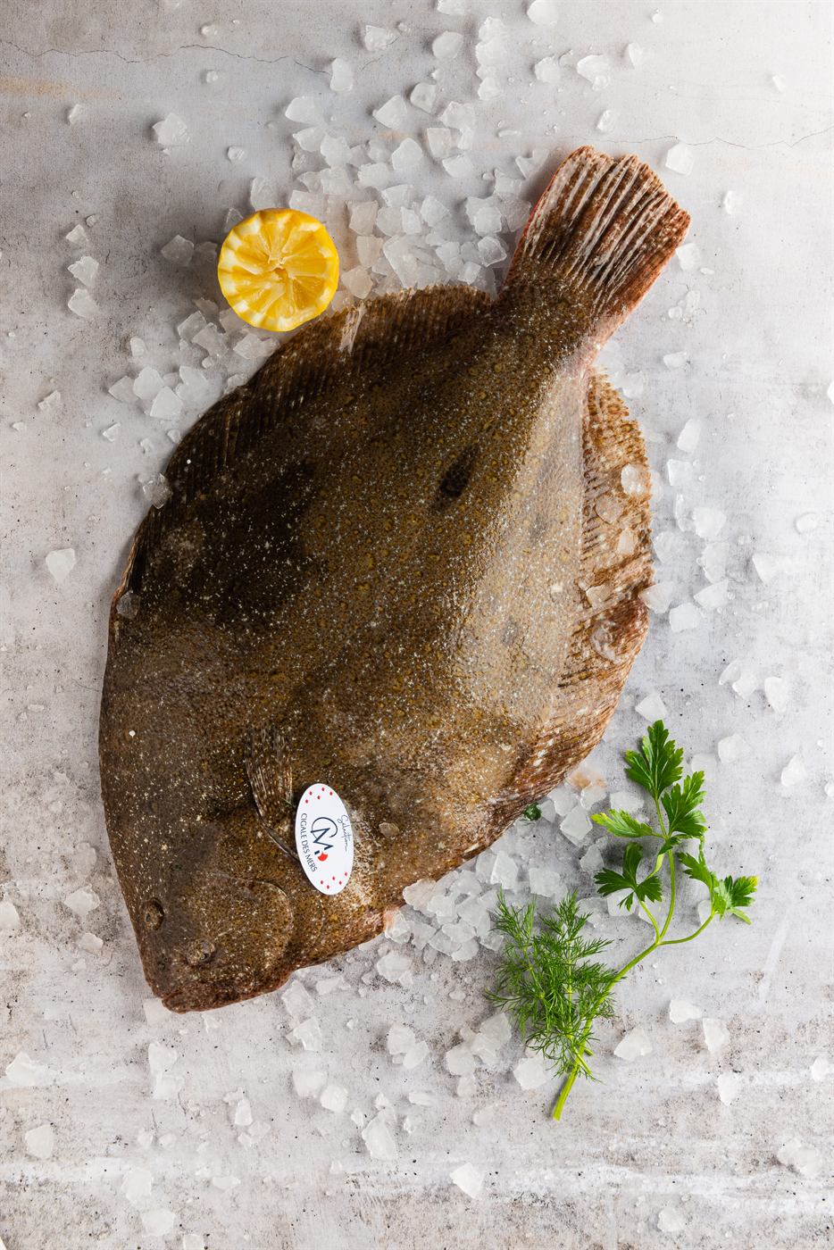 Le poisson