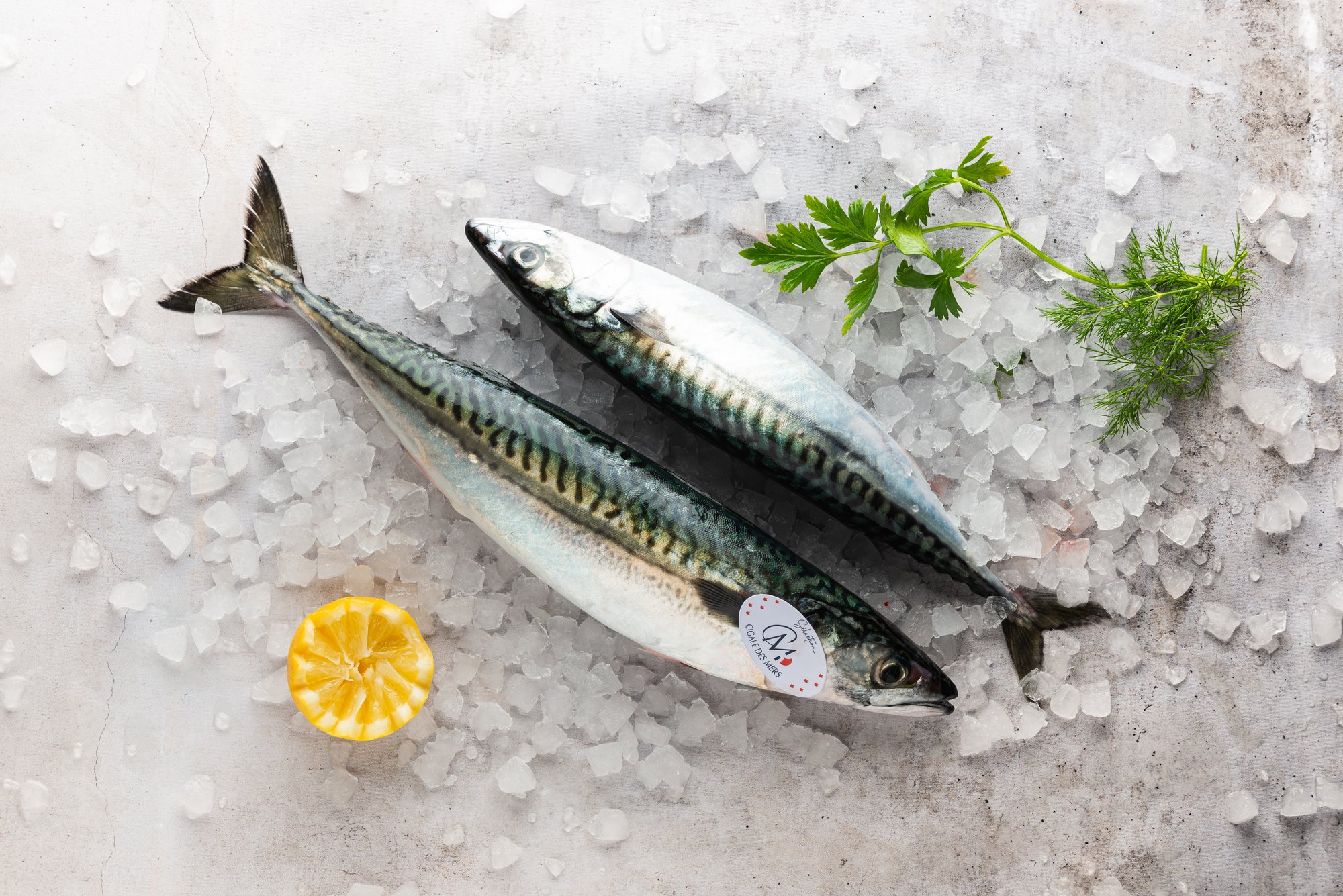 Le poisson