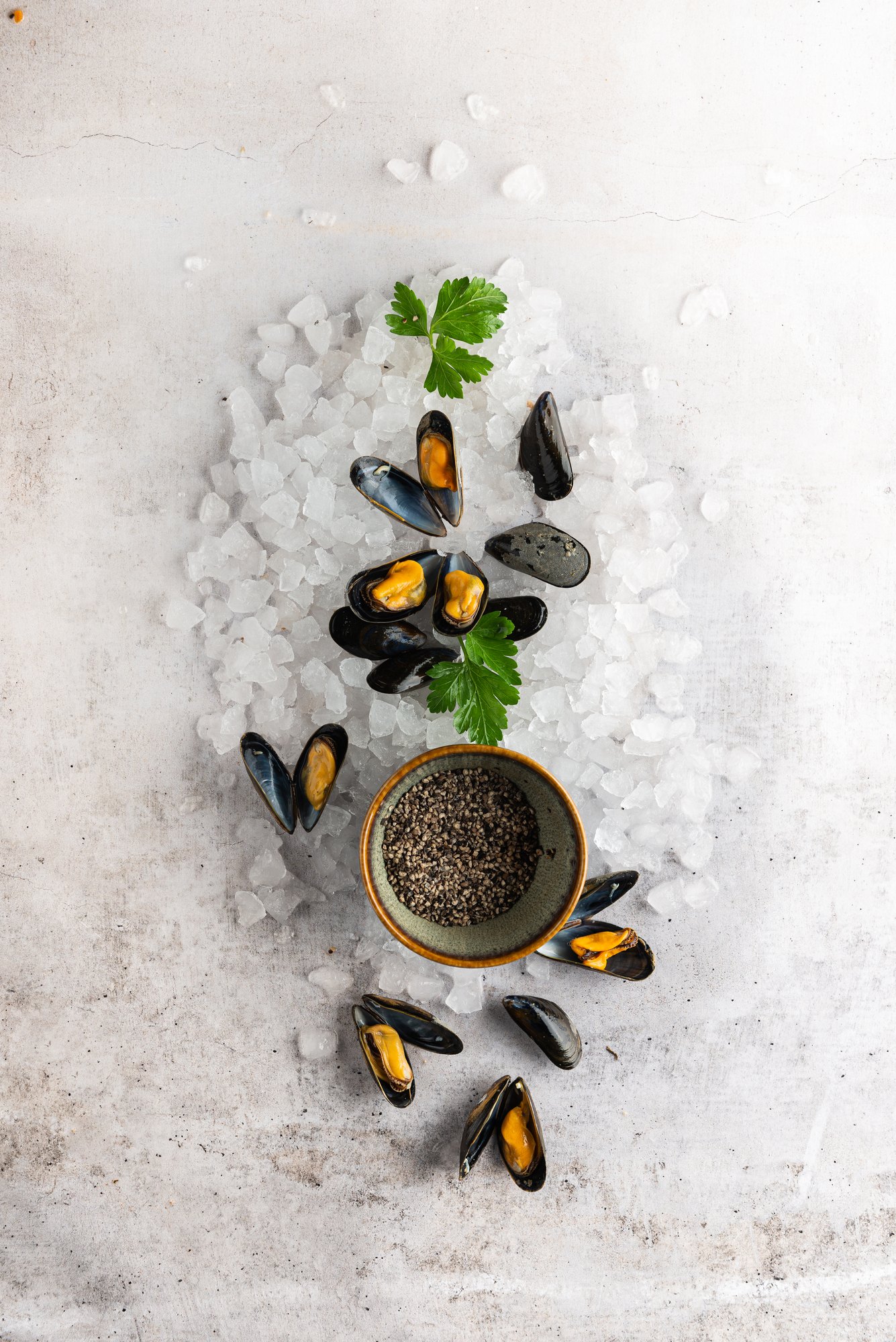 Dernières semaines pour les moules Bouchot AOP Morisseau